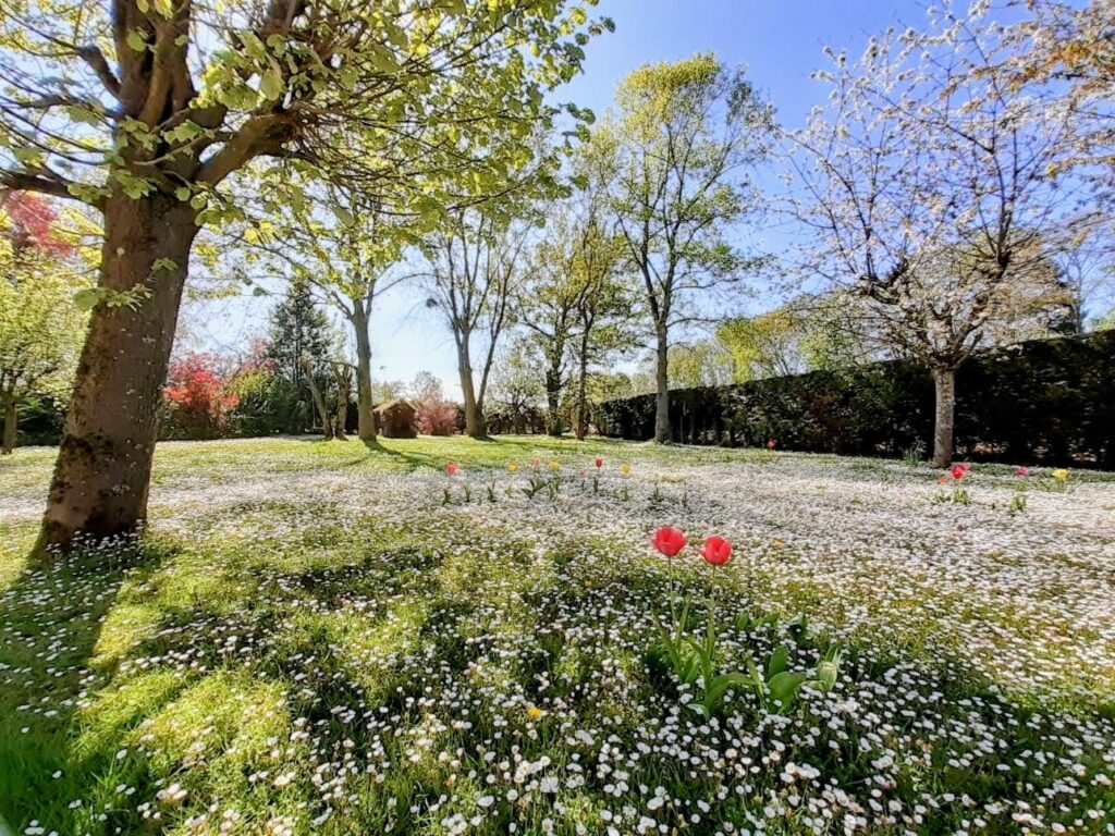 jardin 8 à la maison jardin 8 à la maison
